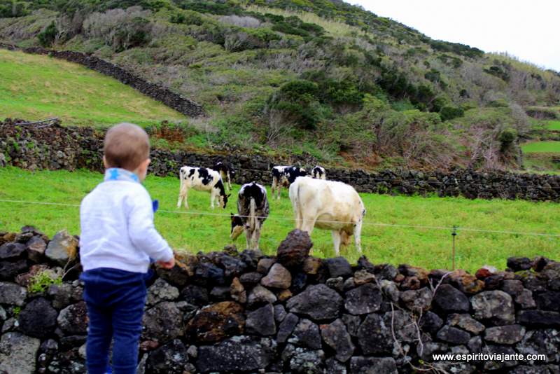 Turismo nos Açores com bebés